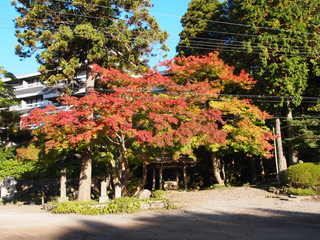 PB040223.JPG