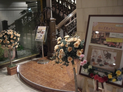 CIMG8342.JPG