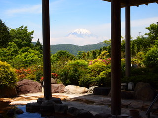 P6042946.JPG