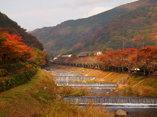 PB056756.JPG